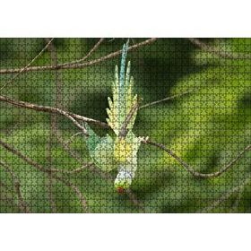 Cakapuzzle Daldan Aşağı Uçan Sarı Yeşil Papağan Mdf 1000 Parça Puzzle
