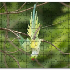 Cakapuzzle Daldan Aşağı Uçan Sarı Yeşil Papağan Mdf 120 Parça Puzzle
