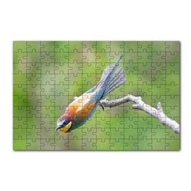 Cakapuzzle Daldan Ayrılmak Üzere Olan Rengarenk Kuş 120 Parça Ahşap Puzzle