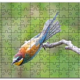 Cakapuzzle Daldan Ayrılmak Üzere Olan Rengarenk Kuş Mdf 1000 Parça Puzzle