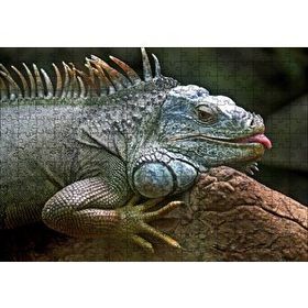 Cakapuzzle Dalın Üzerinde Dinlenen İguana 120 Parça Ahşap Puzzle