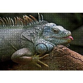 Cakapuzzle Dalın Üzerinde Dinlenen İguana 120 Parça Ahşap Puzzle
