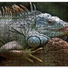 Cakapuzzle Dalın Üzerinde Dinlenen İguana Mdf 255 Parça Puzzle
