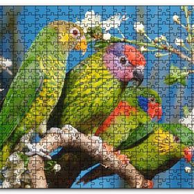 Cakapuzzle Dalın Üzerindeki Sevda Kuşları Mdf 255 Parça Puzzle