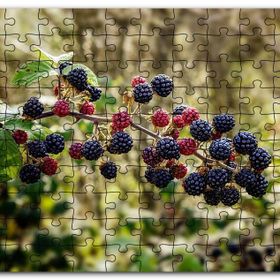 Cakapuzzle Dalında Böğürtlen ve Ahududular Flu Arkaplan Mdf 255 Parça Puzzle