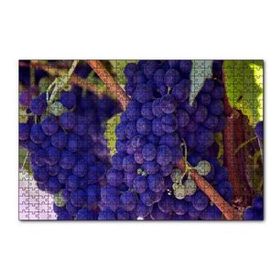 Cakapuzzle Dalında Şaraplık Kara Üzümler 120 Parça Ahşap Puzzle