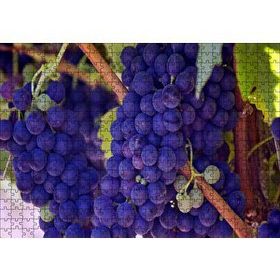 Cakapuzzle Dalında Şaraplık Kara Üzümler 120 Parça Ahşap Puzzle
