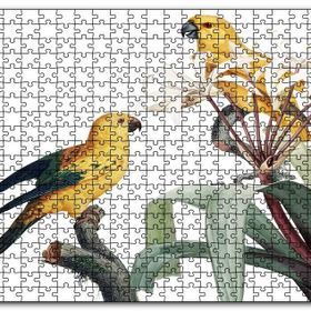 Cakapuzzle Dallar Arasında Sarı Papağanlar Gravür Mdf 255 Parça Puzzle