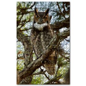 Cakapuzzle Dallar Arasındaki Baykuş Ahşap 1000 Parça Puzzle