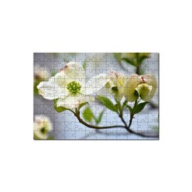 Cakapuzzle Dallar Beyaz Çiçekler Yeşil Tohumlar Yakın Çekim 1000 Parça Puzzle