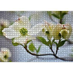 Cakapuzzle Dallar Beyaz Çiçekler Yeşil Tohumlar Yakın Çekim 1000 Parça Puzzle
