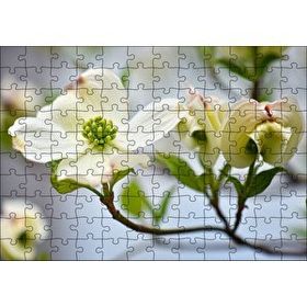 Cakapuzzle Dallar Beyaz Çiçekler Yeşil Tohumlar Yakın Çekim 120 Parça Puzzle