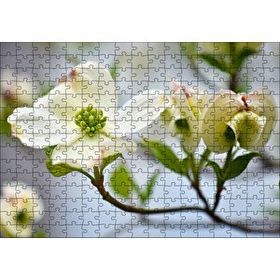 Cakapuzzle Dallar Beyaz Çiçekler Yeşil Tohumlar Yakın Çekim 255 Parça Puzzle