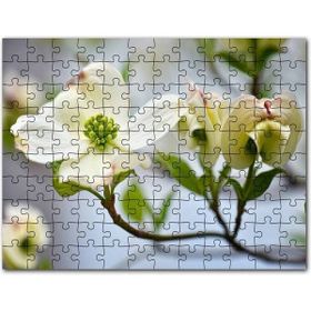 Cakapuzzle Dallar Beyaz Çiçekler Yeşil Tohumlar Yakın Çekim 500 Parça Puzzle
