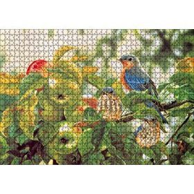 Cakapuzzle Dallarda Elmalar ve Renkli Kuşlar 120 Parça Ahşap Puzzle
