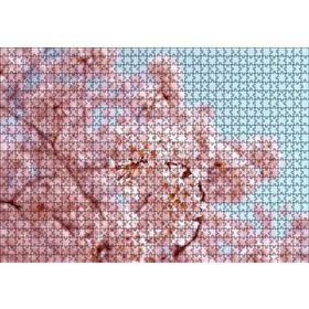 Cakapuzzle Dallarda Kiraz Çiçekleri 120 Parça Ahşap Puzzle
