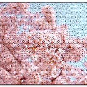 Cakapuzzle Dallarda Kiraz Çiçekleri Mdf 500 Parça Puzzle