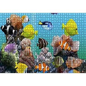 Cakapuzzle Deniz Akvaryumu ve Rengarenk Balıklar Mdf 1000 Parça Puzzle