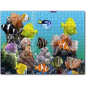 Cakapuzzle Deniz Akvaryumu ve Rengarenk Balıklar Mdf 500 Parça Puzzle