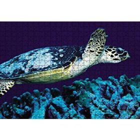 Cakapuzzle Deniz Dibinde Kaplumbağası Ahşap 500 Parça Puzzle