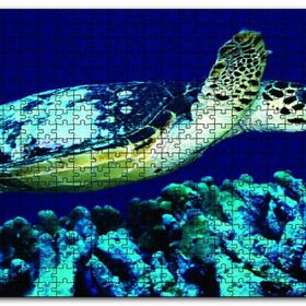 Cakapuzzle Deniz Dibinde Kaplumbağası Mdf 255 Parça Puzzle