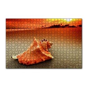Cakapuzzle Deniz Kabuğu 120 Parça Ahşap Puzzle