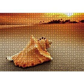 Cakapuzzle Deniz Kabuğu 120 Parça Ahşap Puzzle