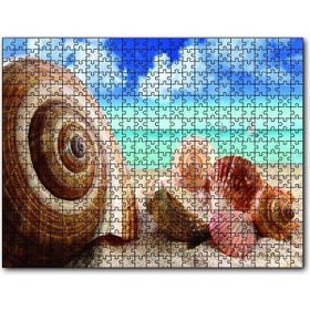Cakapuzzle Deniz Kabukları 1000 Parça Puzzle