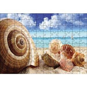 Cakapuzzle Deniz Kabukları 120 Parça Ahşap Puzzle
