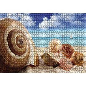 Cakapuzzle Deniz Kabukları 120 Parça Ahşap Puzzle