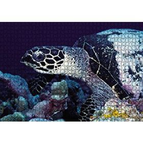 Cakapuzzle Deniz Kaplumbağa 1000 Parça Puzzle