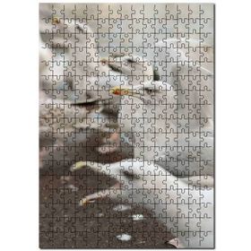 Cakapuzzle Deniz Kuşları Yaban Hayatı Martılar Görseli Mdf 120 Parça Puzzle