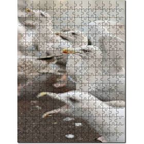 Cakapuzzle Deniz Kuşları Yaban Hayatı Martılar Görseli Mdf 120 Parça Puzzle
