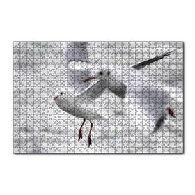 Cakapuzzle Deniz ve Martılar Puzzle