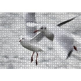 Cakapuzzle Deniz ve Martılar Puzzle