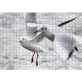 Cakapuzzle Deniz ve Martılar Puzzle