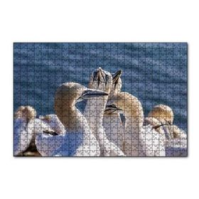 Cakapuzzle Deniz ve Sümsük Kuşları 120 Parça Ahşap Puzzle