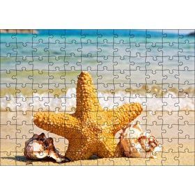Cakapuzzle Deniz Yıldızı Deniz Kabukları ve Berrak Kumsal Mdf 120 Parça Puzzle