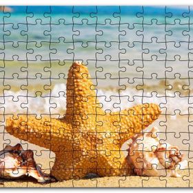 Cakapuzzle Deniz Yıldızı Deniz Kabukları ve Berrak Kumsal Mdf 255 Parça Puzzle