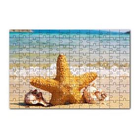 Cakapuzzle Deniz Yıldızı Deniz Kabukları ve Berrak Kumsal Mdf 255 Parça Puzzle