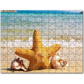 Cakapuzzle Deniz Yıldızı Deniz Kabukları ve Berrak Kumsal Mdf 500 Parça Puzzle
