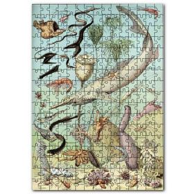 Cakapuzzle Derin Deniz Canlıları Zoolojik Şema Mdf 120 Parça Puzzle