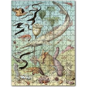 Cakapuzzle Derin Deniz Canlıları Zoolojik Şema Mdf 500 Parça Puzzle