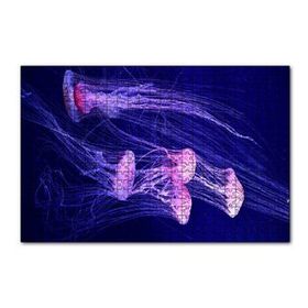 Cakapuzzle Derin Denizlerdeki Denizanaları 120 Parça Ahşap Puzzle