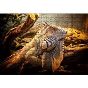 Cakapuzzle Dev Kertenkele ve Güneş Işıkları Mdf 120 Parça Puzzle