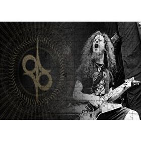Cakapuzzle Dimebag Darrell Elektrogitar Mdf 255 Parça Puzzle