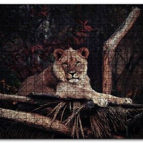 Cakapuzzle Dişi Aslan Dinleniyor Ahşap 500 Parça Puzzle