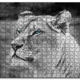 Cakapuzzle Dişi Aslan Monochrome Ahşap 500 Parça Puzzle