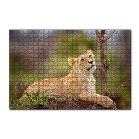 Cakapuzzle Dişi Genç Aslan 120 Parça Ahşap Puzzle
