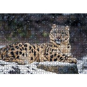 Cakapuzzle Dişi Kar Leoparı Kayalıkta 120 Parça Ahşap Puzzle